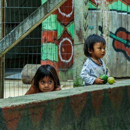 Crianças na Aldeia Indígena Pindo Mirim, no Rio Grande do Sul