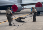 Jacaré de 3 metros é capturado após invadir pista de Força Aérea dos EUA