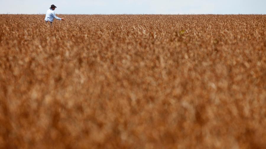 Plantio de soja em Tangará da Serra (MT) - Paulo Whitaker