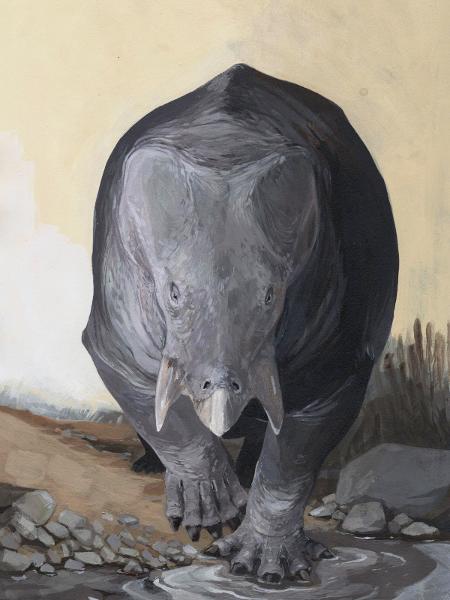 Imagem artística do Lisowicia bojani - Tomasz Sulej e Grzegorz Niedzwiedzki/Science