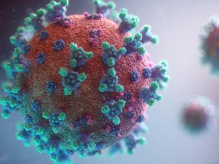 Vírus representam cerca 7% do material genético humano; conheça-os ...