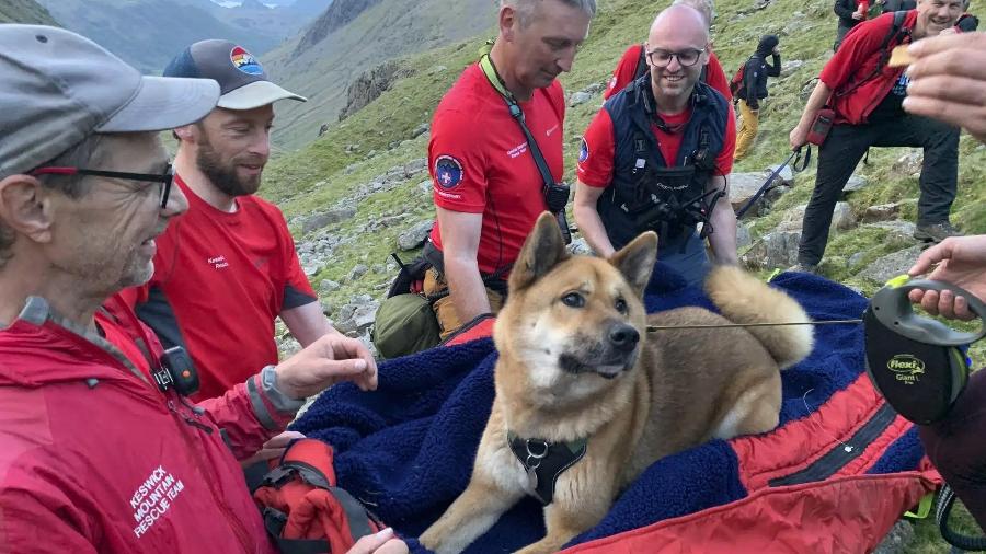 Cachorro precisou ser resgatado na Scafell Pike, a montanha mais alta da Inglaterra - Divulgação