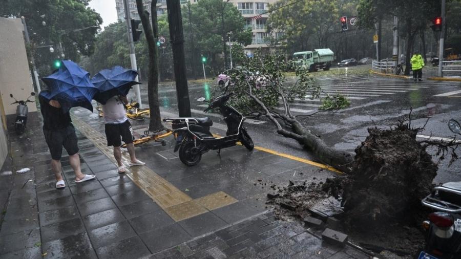 16.set.24 - Pedestres passam por uma árvore caída enquanto lutam com seus guarda-chuvas em ventos fortes e chuva devido à passagem do Tufão Bebinca em Xangai - HECTOR RETAMAL/AFP