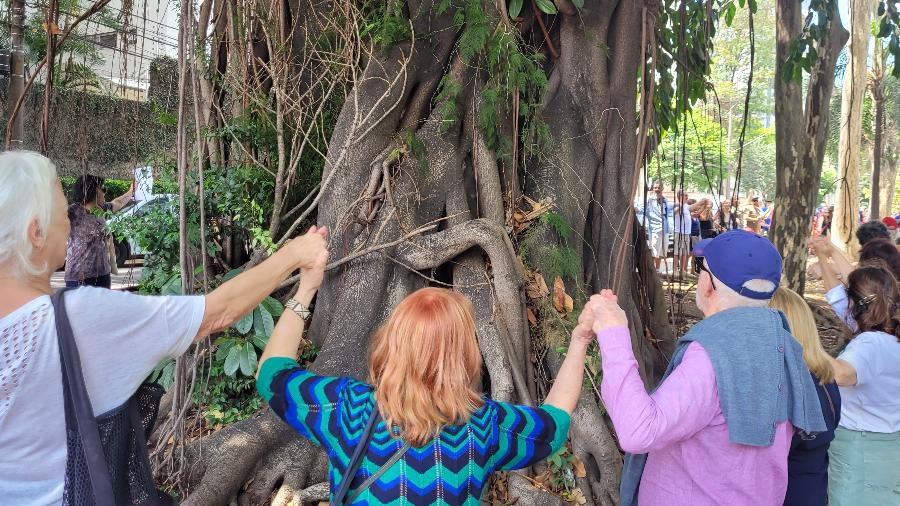 Manifestantes deram abraça simbólico em bosque ameaçado - Alexandre Novais Garcia/UOL