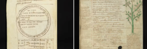 Xampu de lagarto e mais: estudo revela receitas curiosas da Idade Média (Foto: KBR, Brussels e St Gallen Stiftsbibliothek via Universidade de St. Andrews)