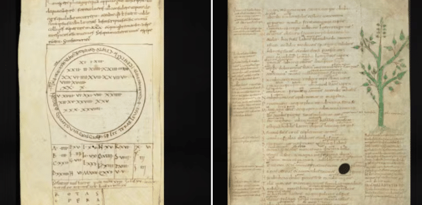 Xampu de lagarto e mais: estudo revela receitas curiosas da Idade Média
