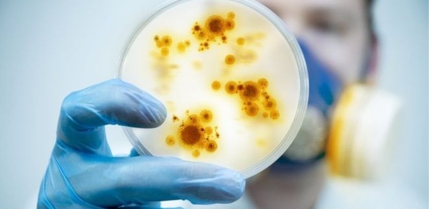 Especialistas analisaram objetos que tocamos com frequência e identificaram grande concentração de bactérias - Getty Images