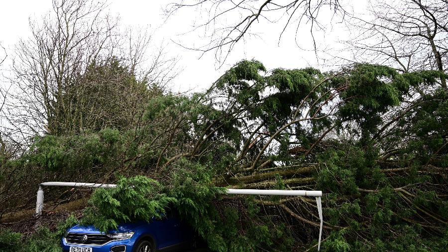 27.nov.2021 - Carro é esmagado por árvore caída e um poste de luz em Birkenhead, no noroeste da Inglaterra - Paul Ellis/AFP