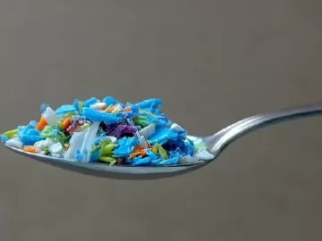 Microplásticos na comida: saiba quais alimentos podem conter mais