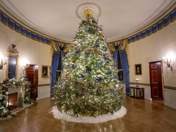 Com 83 mil luzes, Casa Branca mostra decoração de Natal; veja