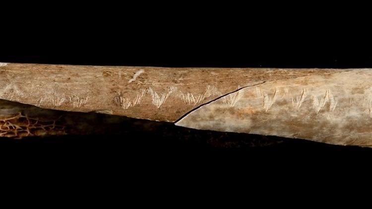Alguns dos ossos humanos encontrados na Caverna de Gough indicam que o canibalismo tinha uma função ritualística