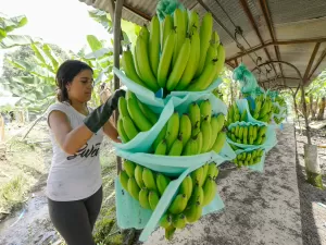 Diplomacia de bananas: qual o poder que a Rússia exerce na América Latina?