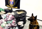 Cão farejador ajuda PM a achar depósito com quase 300 kg de 