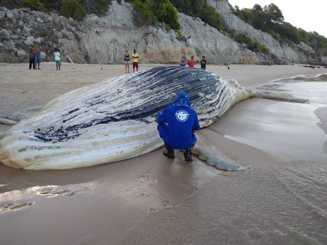 Eles saíram campeões das areias do Rincão. Confira fotos