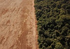 Indígenas insistem na preservação de 80% da Amazônia na COP26 - Amanda Perobelli/Reuters