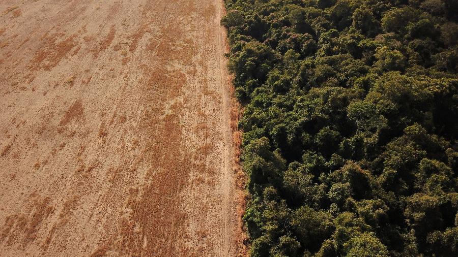 Imagem de drone mostra o desmatamento próximo a uma floresta na fronteira entre a Amazônia e o Cerrado em Nova Xavantina, estado de Mato Grosso - Amanda Perobelli/Reuters