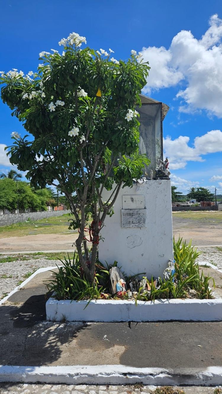 Imagem coberta por árvore da Virgem dos Pobres, no bairro da Levada, ao lado do papódromo de Maceió Imagem coberta por árvore da Virgem dos Pobres, no bairro da Levada, ao lado do papódromo de Maceió