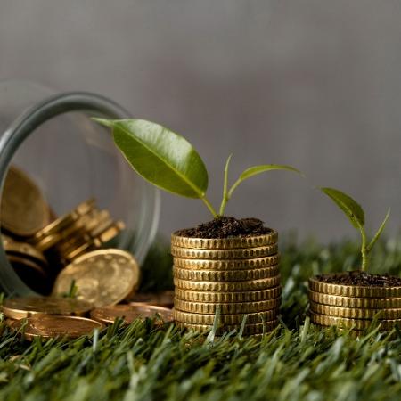 Mudança tem o objetivo de facilitar o investimento em projetos sustentáveis Mudança tem o objetivo de facilitar o investimento em projetos sustentáveis