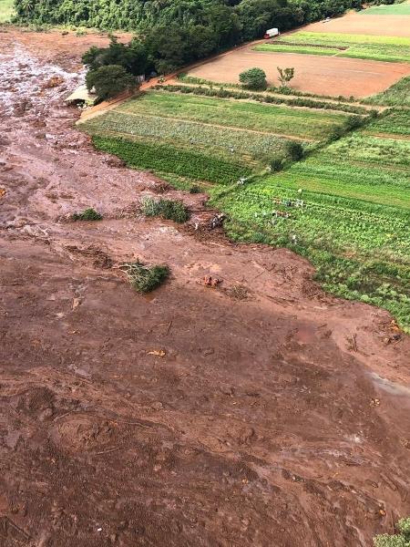 Cerca de 70 hectares de áreas de proteção permanente ao longo de cursos d"água também foram devastados - Corpo de Bombeiros de Minas Gerais