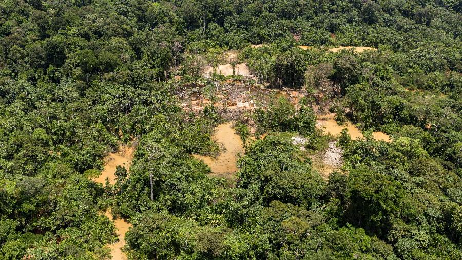 Foto de outubro de 2017 mostra área da Floresta Amazônica desmatada pelo garimpo ilegal na Guiana Francesa - Jody Amiet/AFP