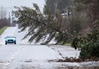 Tempestade deixa quase um milhão de casas sem energia na Irlanda e na Escócia - PAUL FAITH / AFP