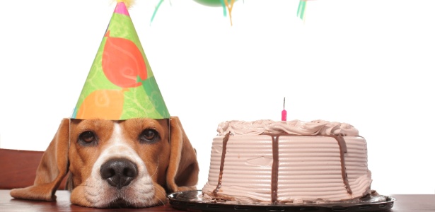 iStock iStock