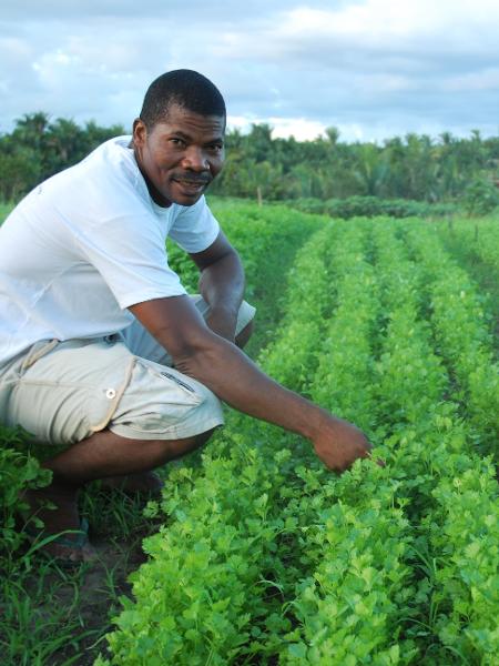 Estatais dependentes: Comunidade quilombola está entre grupos atendidos por programa da Conab que compra alimentos de pequenos agricultores e agricultura familiar - Conab/Divulgação - Conab/Divulgação