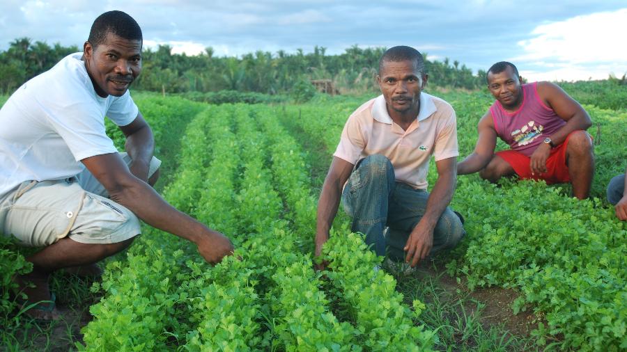 Agroinfluencers ajudam a promover a agricultura