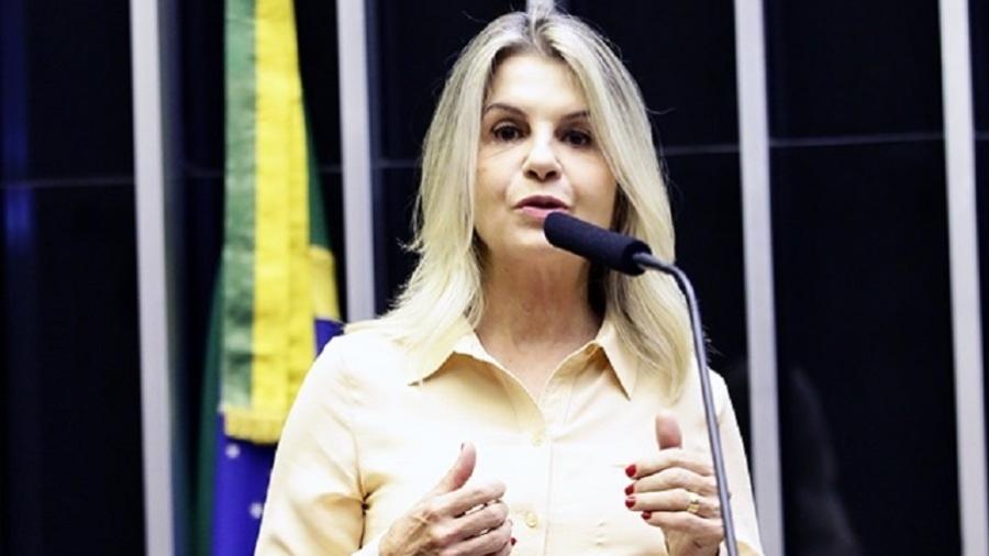 Soraya Manato citou partidos que teriam utilizado candidatos de fachada em 2018 e colocou PSL na lista - Divulgação/Câmara dos Deputados