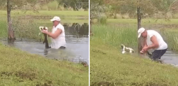 Tudo pelo amigo | Homem pula em lago e salva cachorro da boca de jacaré