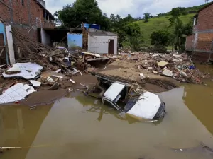 Conselhos Profissionais da Bahia se reúnem para ajudar vítimas das fortes  chuvas no estado - CRMV-BA