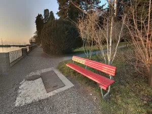 Homem nu mata mulher que corria em parque na Suíça