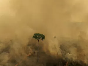 Fogo na Amazônia destruiu 10 vezes mais que desmatamento