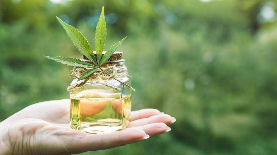 Canabigerol é um composto não psicoativo presente na planta Cannabis sativa