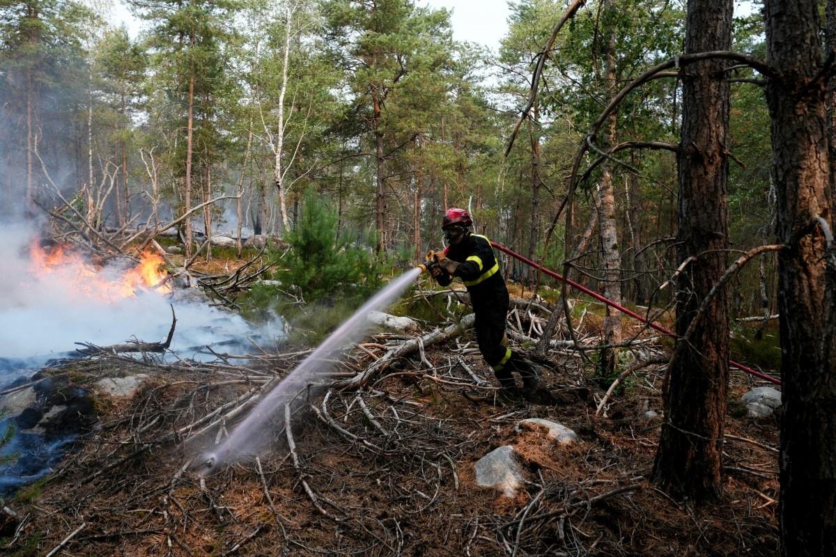 14.jul.2026 - Bombeiro combate focos de incêndio na floresta de Fontainebleau, na França - undefined