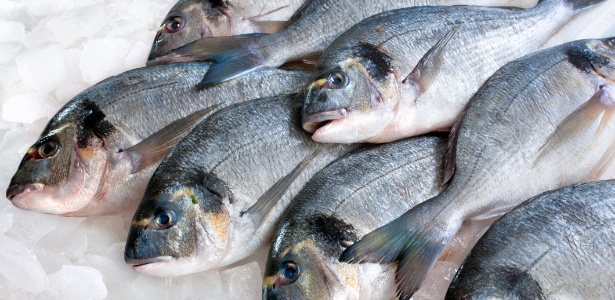 A Samsung vendeu peixes antes de entrar nos eletrônicos - Getty Images/iStockphoto