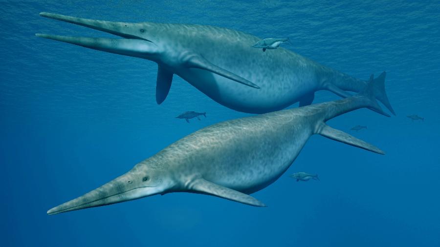 Ictiossauros eram maiores até do que as atuais baleias azuis - Nobumichi Tamura/Handout