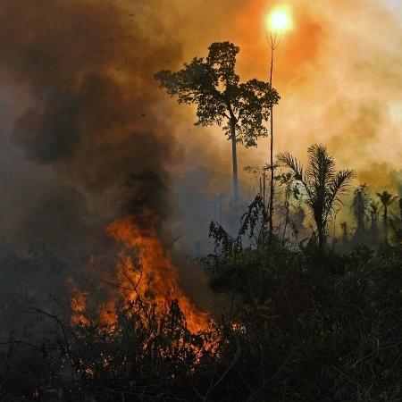 Queimada ilegal na Amazônia, em Novo Progresso (PA) - Carl de Souza/AFP