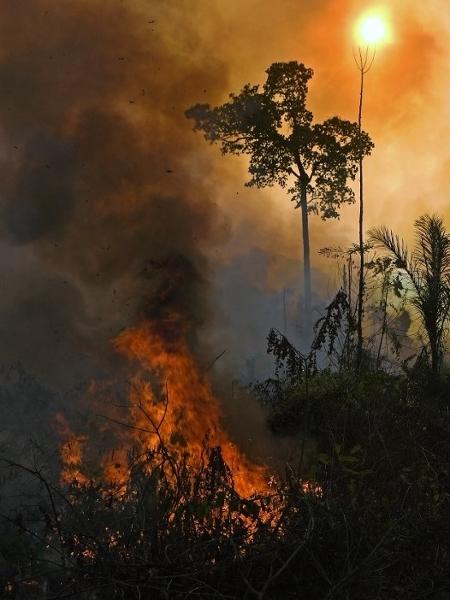 Foto tirada em 15 de agosto de 2020 mostra queimada ilegal na Amazônia, em Novo Progresso (PA) - Carl de Souza/AFP