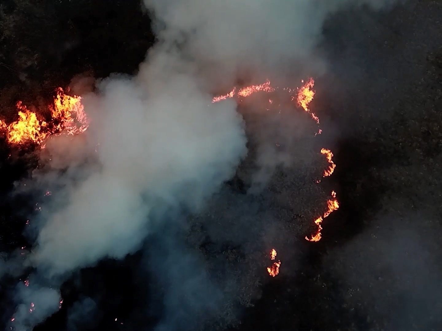 Cemitério a céu aberto: documentário mostra causas do incêndio no Pantanal