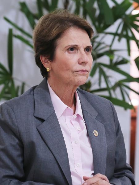 Tereza Cristina foi ministra da Agricultura no governo Bolsonaro