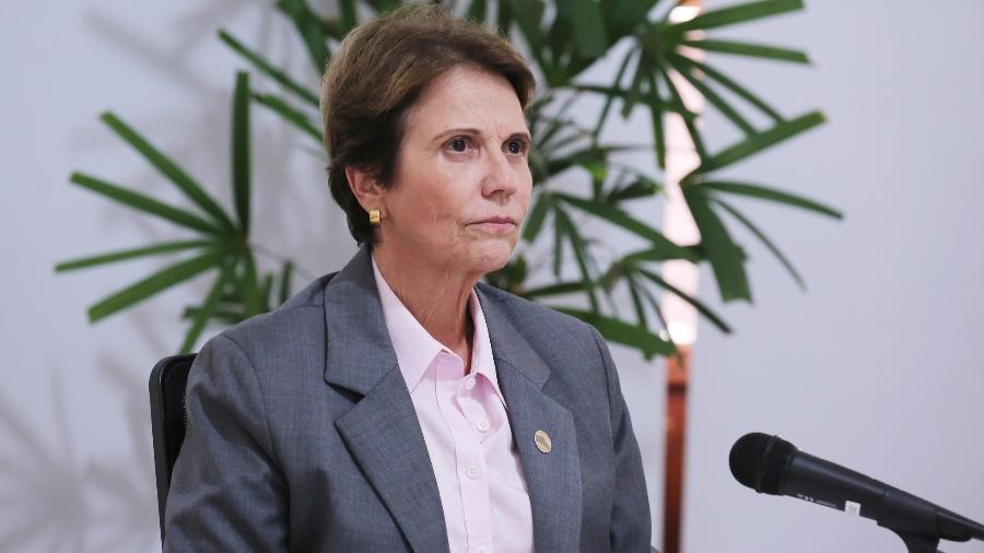 A agora ex-ministra Tereza Cristina diz que novo ministro vai manter sua política na Agricultura; ela deixou o cargo hoje para disputar as eleições de outubro - Carlos Silva/Ministério da Agricultura