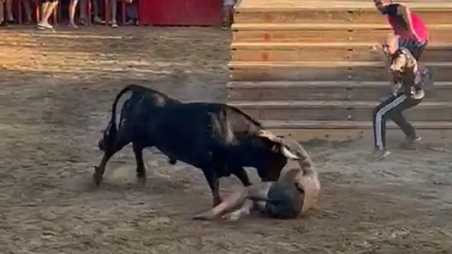 O festival Bous a la Mar vem sendo criticado por entidades de proteção animal, que denunciam a crueldade com que os animais são tratados - Reprodução/Redes Sociais