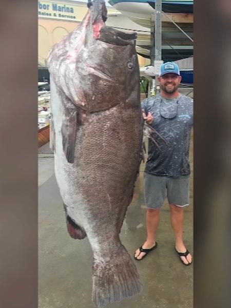 Pescador pegou peixe de 50 anos e mais de 150kg nos Estados Unidos  - Divulgação/FWC