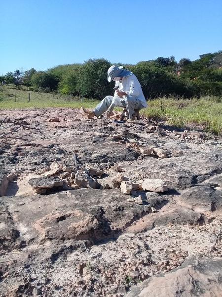 Achados foram registrados no último dia 5 pelo paleontólogo William Roberto Nava, coordenador do Museu de Paleontologia de Marília - William Roberto Nava/Acervo pessoal