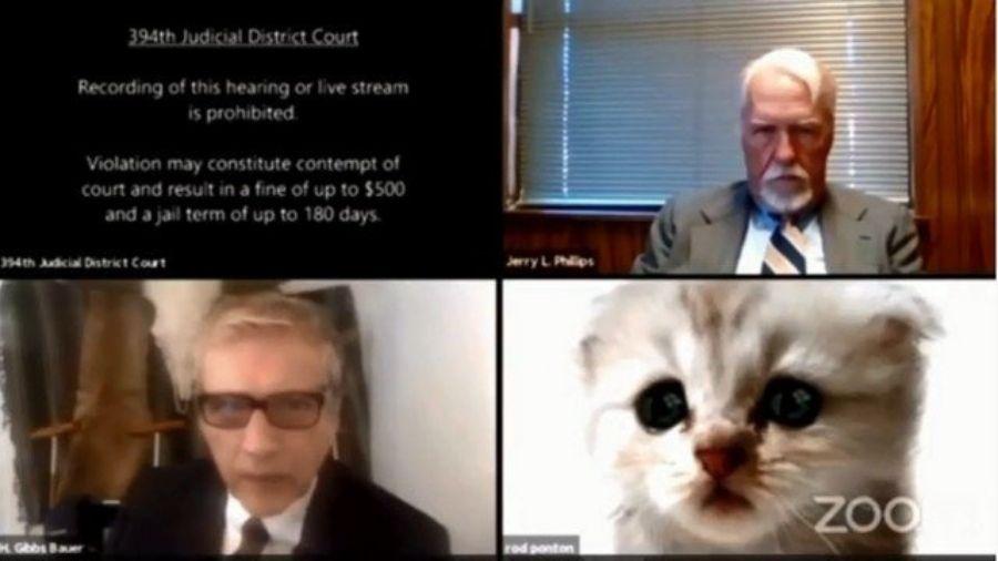 Situação ficou mais engraçada quando advogado tentou se explicar e deu vida a "gato falante" - Reprodução/Twitter