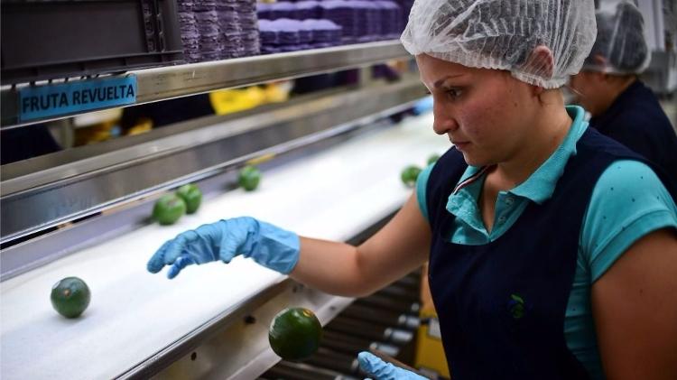 Former presidents such as Ecuadorian Rafael Correa, Bolivian Evo Morales and Chavez even changed their countries' constitutions and served for different consecutive terms - RONALDO SCHEMIDT/AFP - RONALDO SCHEMIDT/AFP