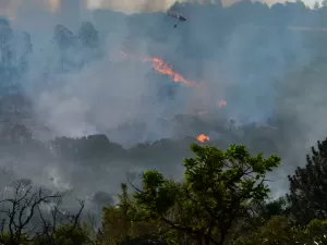 Em reuniões do G20, Brasil expõe antagonismo entre agricultura e clima