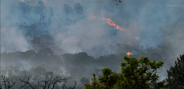 Em reuniões do G20, Brasil expõe antagonismo entre agricultura e clima