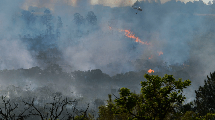 Bombeiros combatem incêndio em Mato Grosso. Estado concentra maior número de focos de calor nesta terça-feira